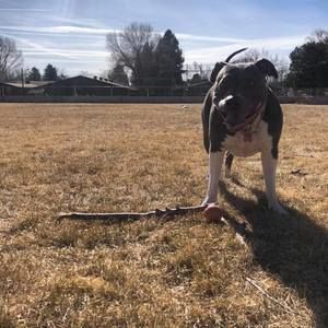 Meet your Posher, Alicia